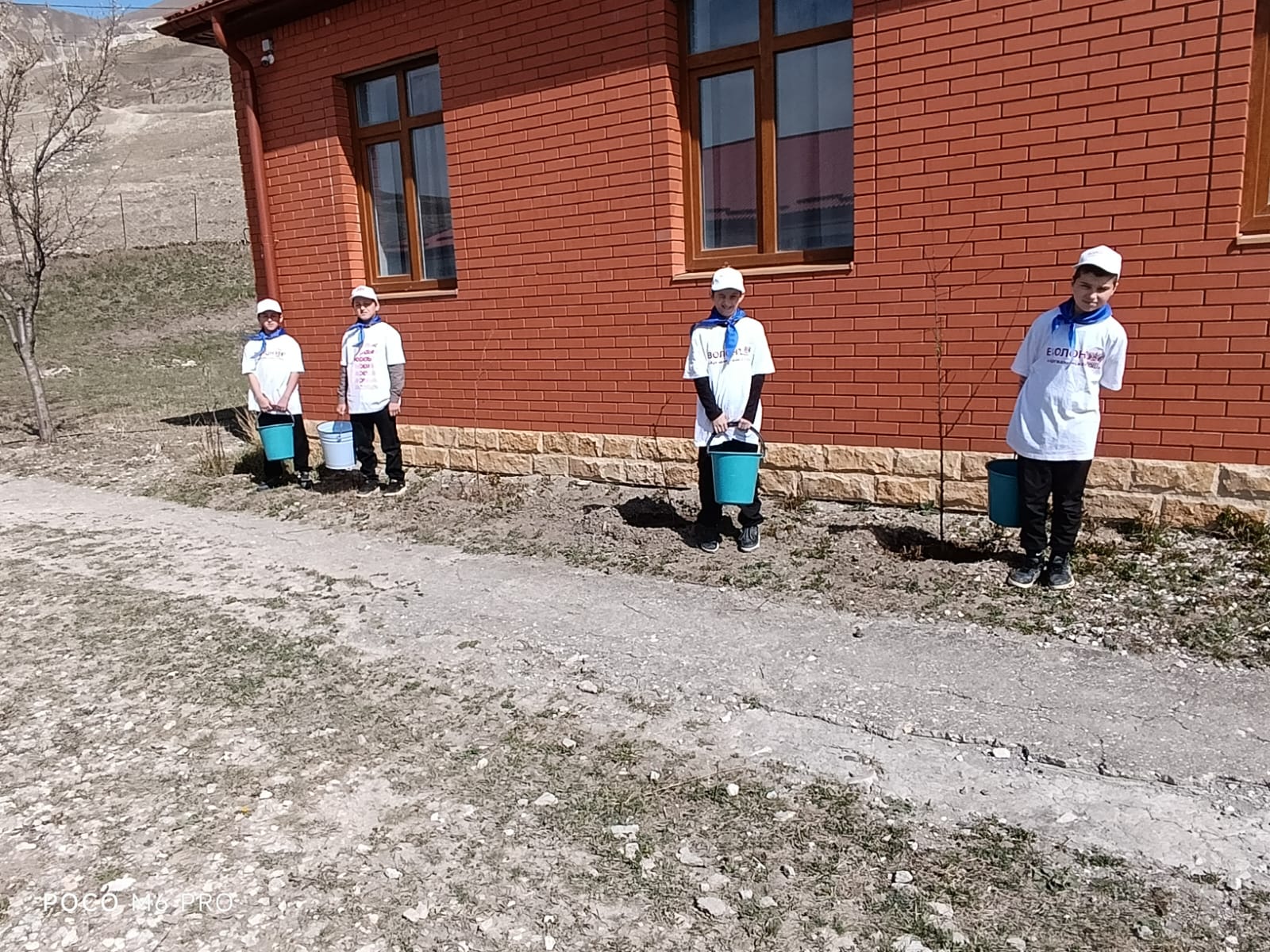 Дерево Первых.